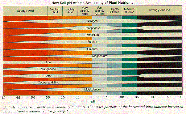 Chart showing how soil pH impacts micronutrient availability to plants